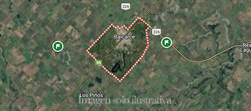 comprar Campo mixto