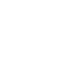 Fontana Consignatarios Isologo