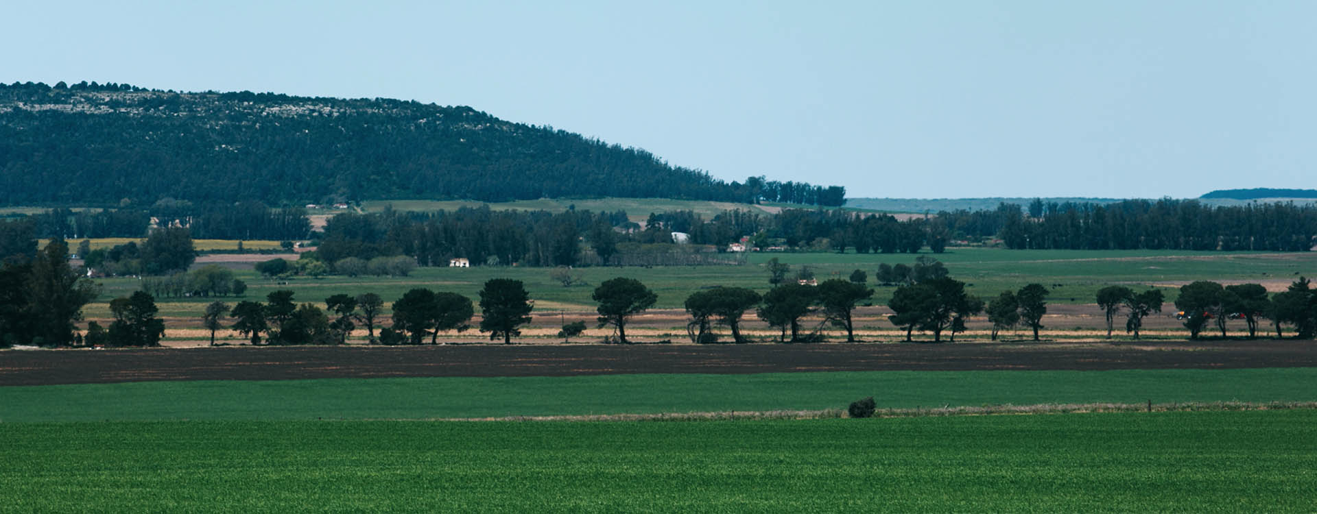 Campos en venta y alquiler en Balcarce por Fontana Consignatarios