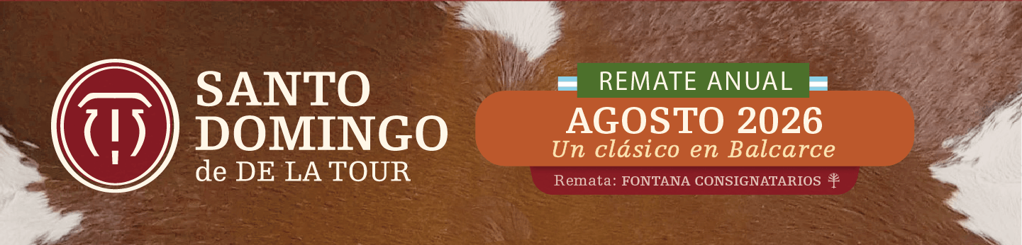 Ficha Técnica Remate Santo Domingo de la Tour