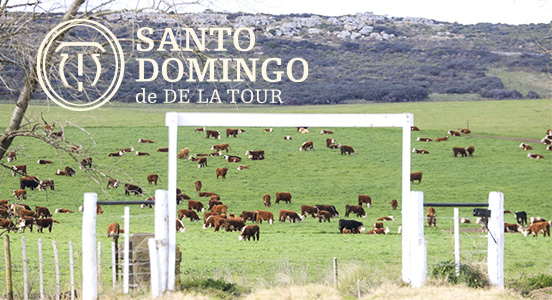 Estancia Santo Domingo